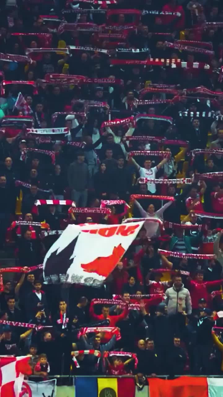 Dinamo - Rapid „Câinii” au pus în vânzare biletele pentru derby-ul de pe Arena Națională: „E timpul revanșei!”