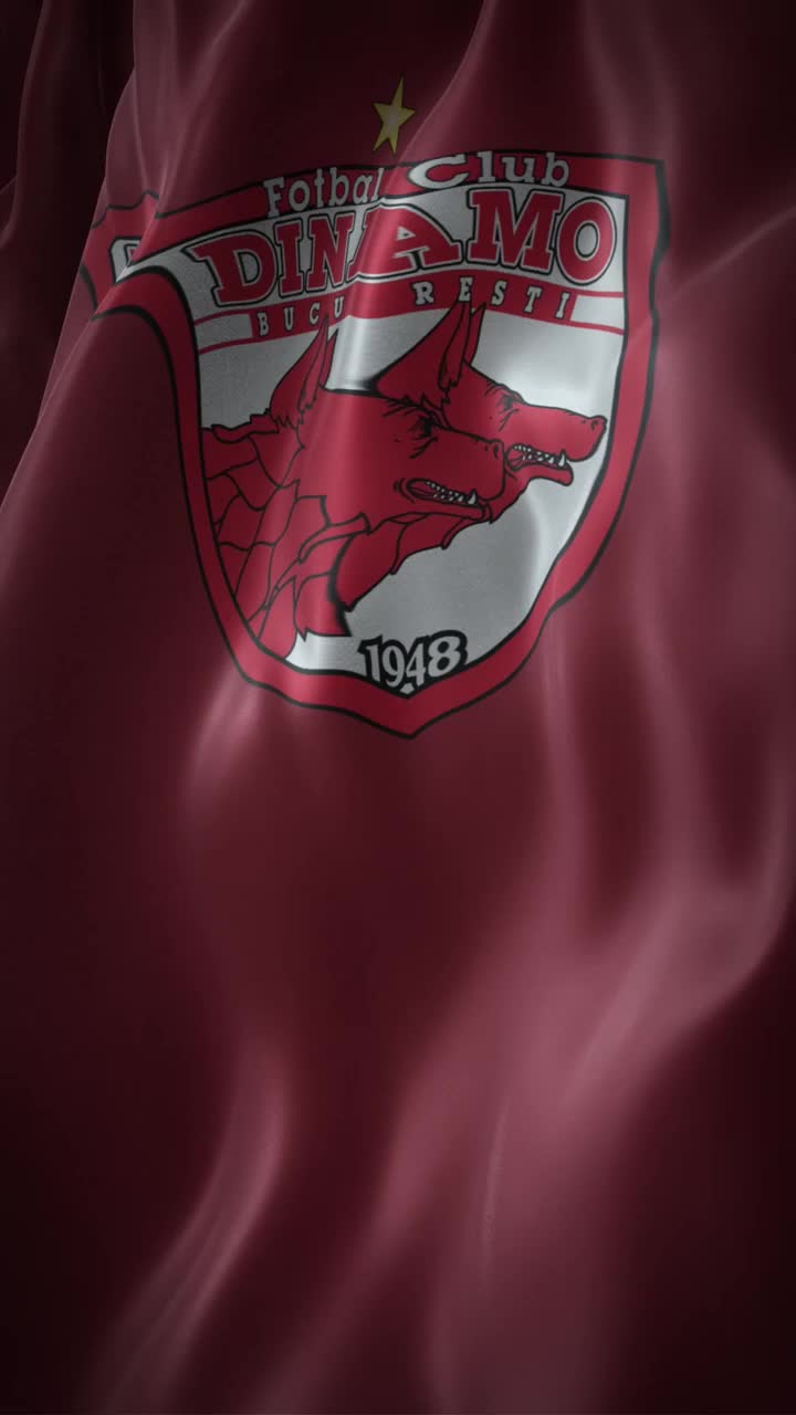 Dinamoviștii, mesaj categoric     Ce a transmis  Peluza „Cătălin Hîldan” despre un posibil noncombat cu FC Argeș