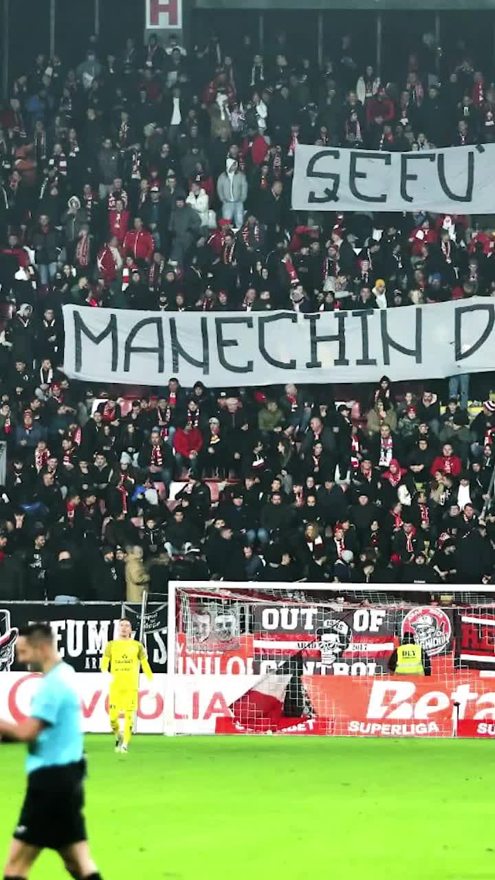 Bannere rasiste la UTA - Rapid   Arădenii au afișat mai multe   mesaje discriminatoare : „Lui Șucu îi plac grifonii, nu ciorile, de fapt”