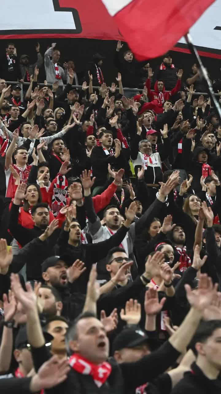 Incidente la Dinamo - Rapid  Scandal la pauza meciului. Agresorul   s-a refugiat în galeria „câinilor”.  Cum au reacționat ultrașii