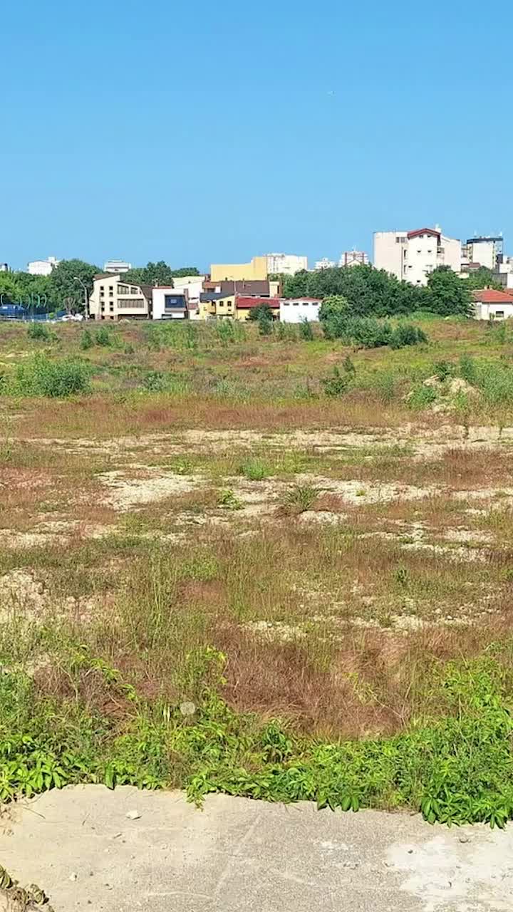  „Cât e biletul în savană?”  Locul unde ar trebui să se construiască    noul stadion al echipei de tradiție  e acoperit de vegetație