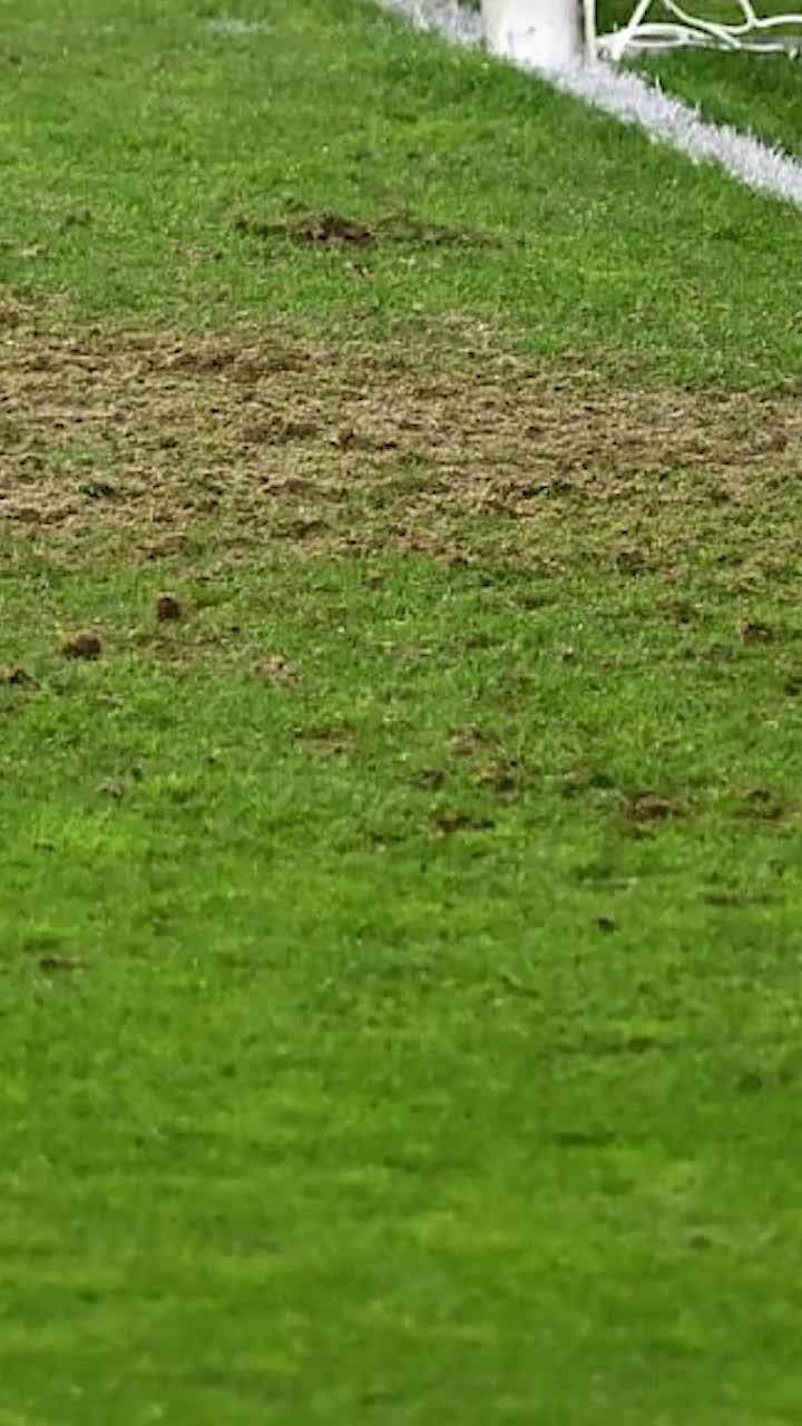 Cauza problemelor Rapidului   FOTO:   De ce va suferi echipa lui Pancu  după meciurile europene ale lui Hapoel. Antrenorii din Ligă, enervați de Giulești