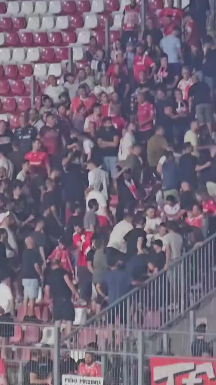 Haos la Arad   VIDEO.  Dinamoviștii  s-au bătut pe stadion  după meci! Jandarmeria a intrat peste ei » De unde a plecat scandalul