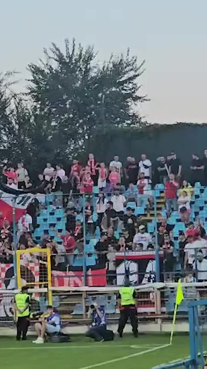 Nicolescu n-are liniște   VIDEO.    Fanii lui Dinamo l-au înjurat din nou  pe președintele clubului