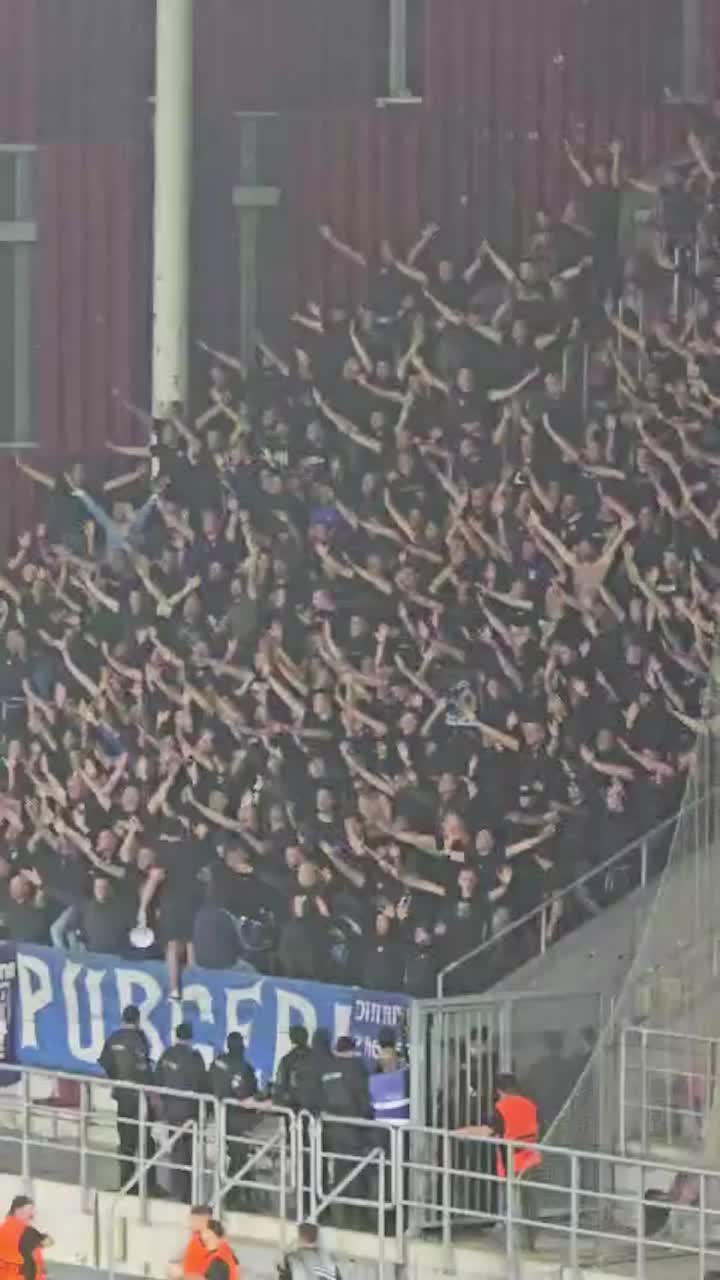 Cei mai răi ultras sunt în Giulești   FOTO-VIDEO.  Temuții Bad Blue Boys,  fanii celor de la Dinamo Zagreb,  fac show la București. Ce spun croații despre ei