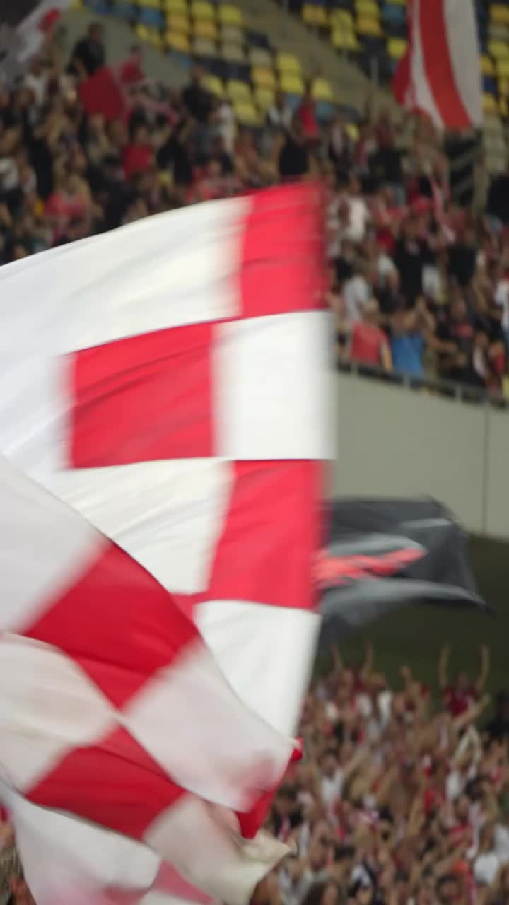 Dinamo, peste FCSB!  Câți suporteri au asistat la revenirea „câinilor”  pe Arena Națională
